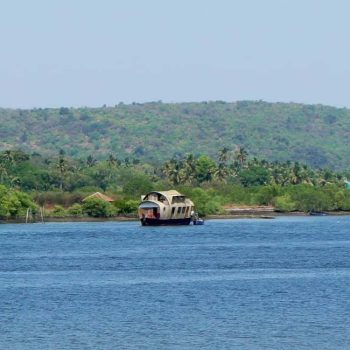 dolphin safari in goa