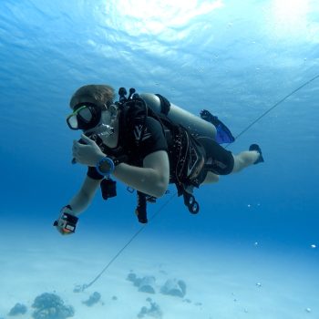 person in black and white diving suit under water